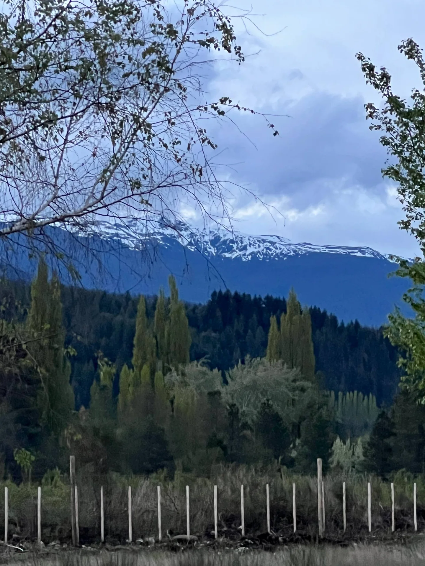 La cordillera al atardecer